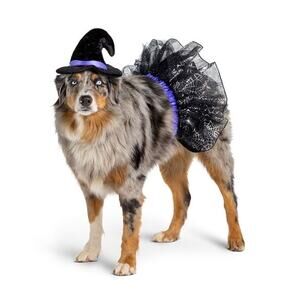 Thrills & Chills Witch Halloween Hat Skirt Costume Set Dog Cat Size Small/Medium